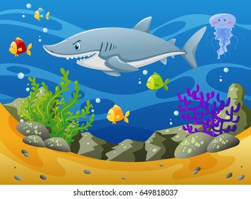 Shark and other sea animals underwater illustration