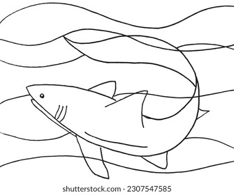 Shark outline illustration image. 
Hand drawn image artwork of shark. 
Simple cute original logo.
Hand drawn vector illustration for posters, cards, t-shirts.