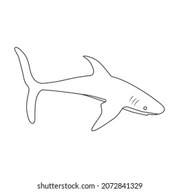 Shark outline vector icon.Outline vector illustration fish of sea. Isolated illustration of shark icon on white background.