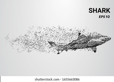 The shark from the particle. A shark consists of circles and dots. The shark splits into molecules.