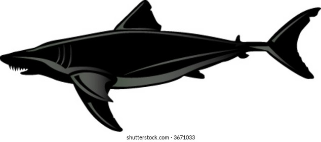 shark pattern