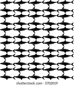 shark pattern