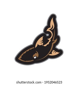 Shark pattern in boho style. Isolated. Vector illustration