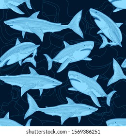 Shark pattern. Nautical ocean sea scare big fish animal tropical seamless background