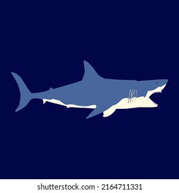 shark peeking, vector illustration on blue background.