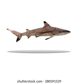 shark polygon abstract isolated on white background vector