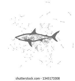 shark.  Polygonal wireframe shark silhouette. low poly vector illustrations on background of points and lines.