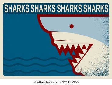 Shark poster illustration with text.Vector background 