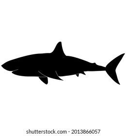 Shark sea animal black silhouette outline vector illustration. A part of ocean wildlife.