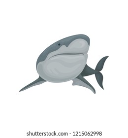 Shark sea animal fish, side view vector Illustration on a white background