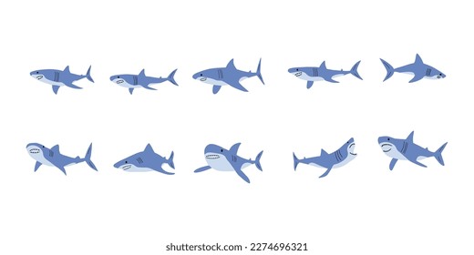 Shark. Sea animal. Marine animal in Scandinavian style.