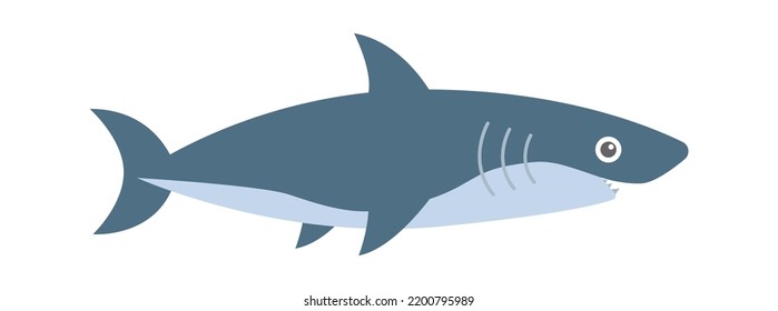Shark Sea Fish. Vector illustration