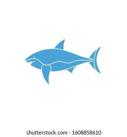 shark sea life animal isolated icon vector illustration design