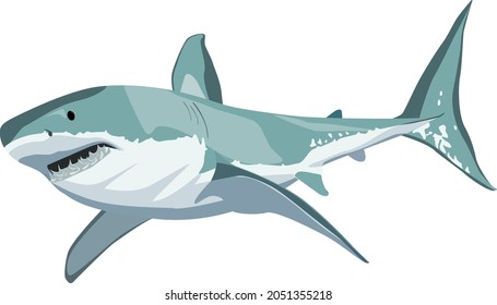 Shark Sea Predator Vector Image Stock Vector (Royalty Free) 2051355218 ...