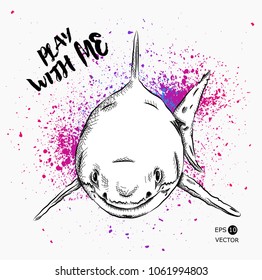 shark in the sea. vector illustration