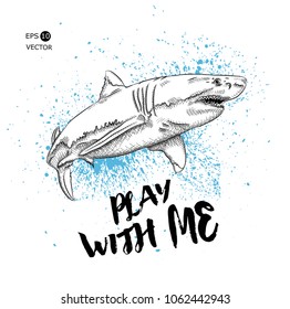shark in the sea. vector illustration