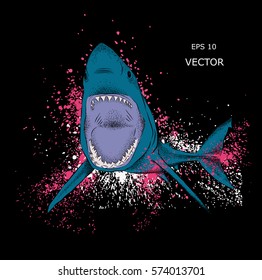 shark in the sea. vector illustration