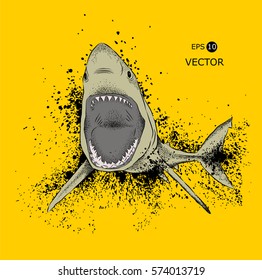 shark in the sea. vector illustration