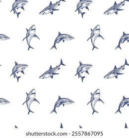 Shark, seamless, pattern, set of illustrations, realistic sketch, hand drawn vector