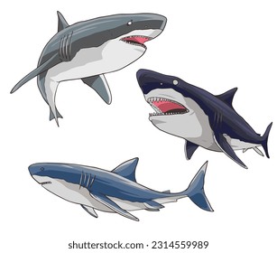 ilustración vectorial de color de conjunto de tiburones