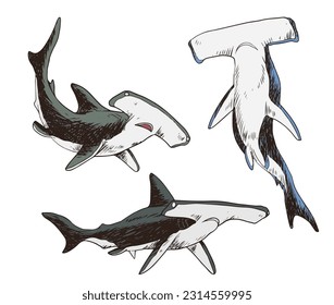 shark set bundle color vector illustration