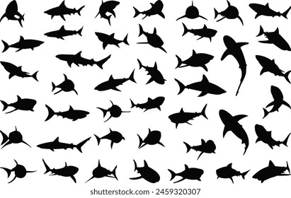 shark set, silhouette collection on white background vector