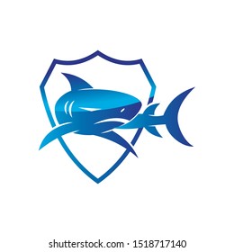 Shark Shield logo design vector isolated illustration concept