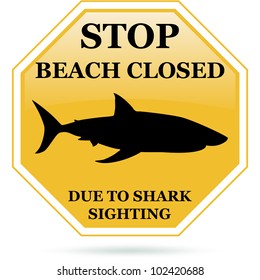 520 Shark sighting Images, Stock Photos & Vectors | Shutterstock