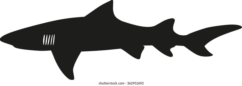 Shark silhouette