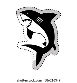 shark silhouette alert icon