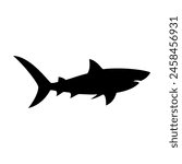 Shark silhouette flat illustration on isolated background