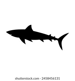 Shark silhouette flat illustration on isolated background