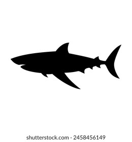 Shark silhouette flat illustration on isolated background