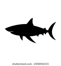 Shark silhouette flat illustration on isolated background