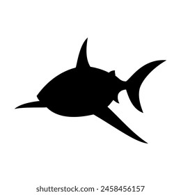 Shark silhouette flat illustration on isolated background