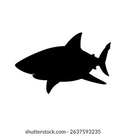 Shark silhouette icon vector flat design on white background