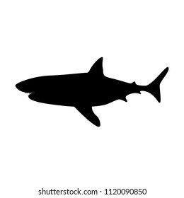 Shark silhouette illustration