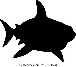 Shark silhouette illustration vector design.