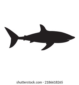 Shark Silhouette Isolated on White Background.  Vector Illustration 