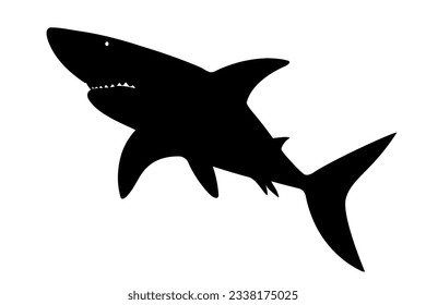 Shark silhouette isolated. Vector illustration