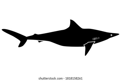 Shark silhouette on white background illustration EPS10.