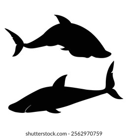 Shark Silhouette on a White Background