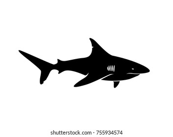 Shark Silhouette Vector