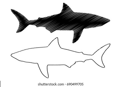 shark silhouette vector, silhouette fish, 