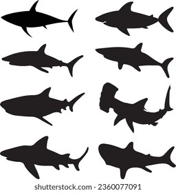 Shark Silhouette Vector Graphic Pack