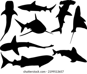 shark silhouette vector hand drawn