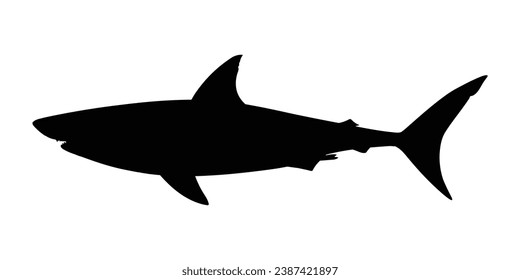 Shark Silhouette. Shark Vector illustration.