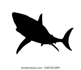 Silhouette de tiburón. Ilustración del vector del tiburón.