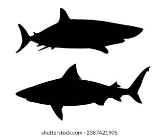 Shark Silhouette. Shark Vector illustration.