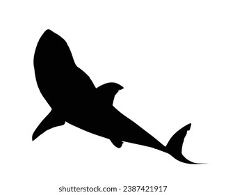 Shark Silhouette. Shark Vector illustration.